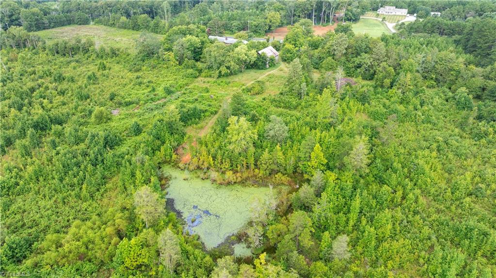 1874 Thayer Road Trinity, NC 27370 - Photo 4 of 50