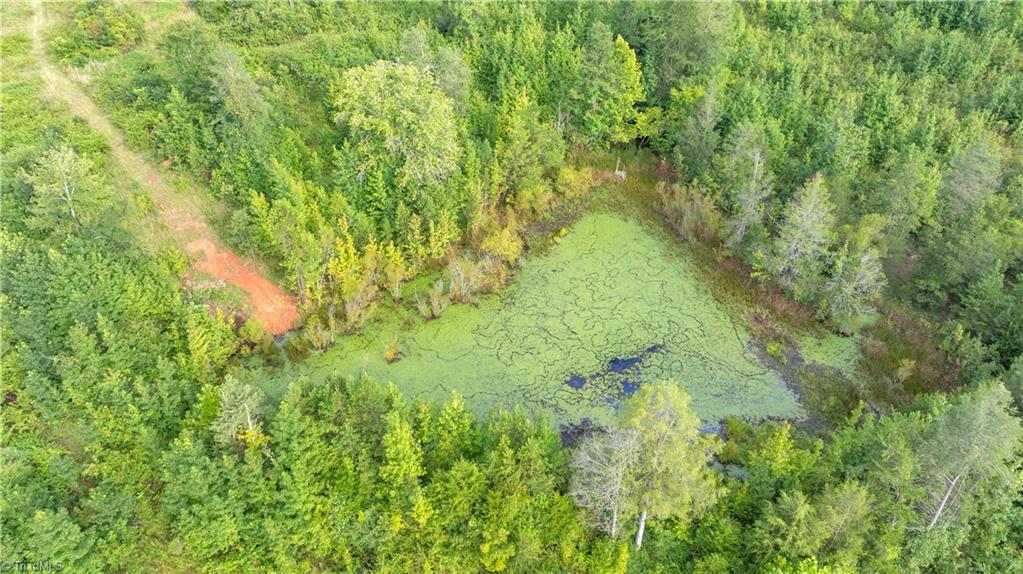 1874 Thayer Road Trinity, NC 27370 - Photo 8 of 50