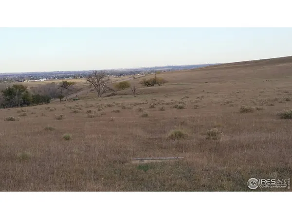 a open area with a yard