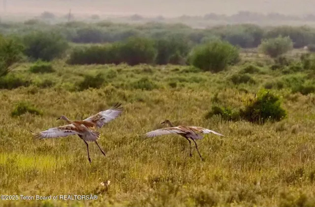 $2,999,000 | 377 Woodland Star Drive, Driggs, ID 83422