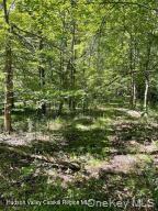 L-33 Harring Road Cairo, NY 12413 - Photo 2 of 5 Sunlight filled woods