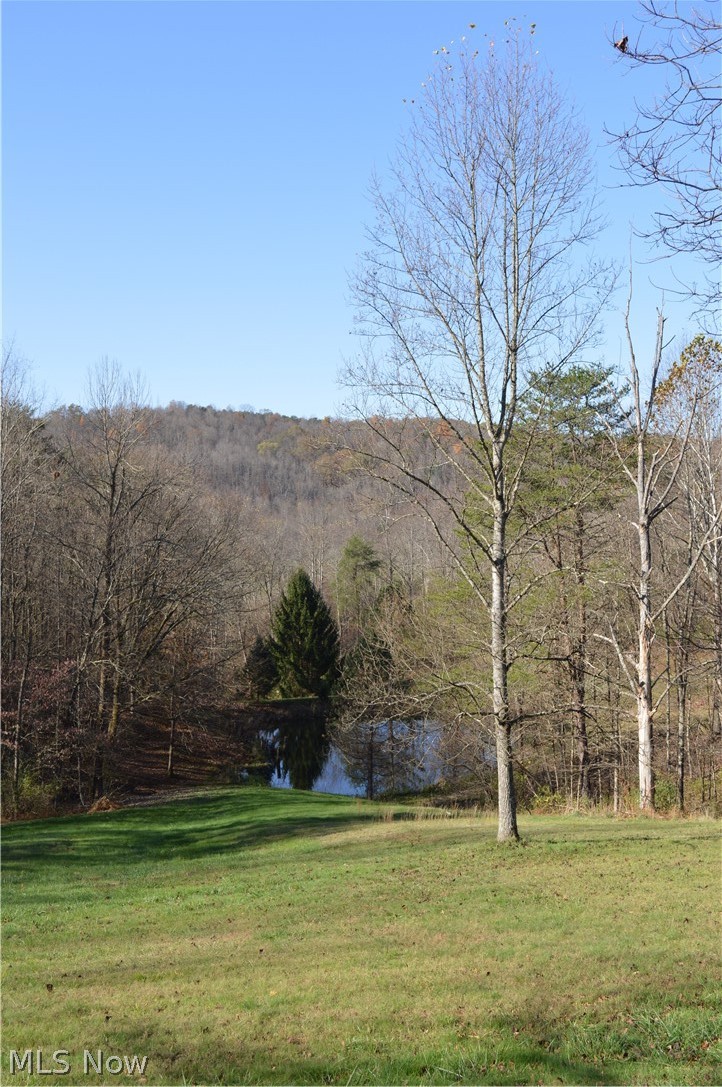 6267 Middle Island Road Middlebourne, WV 26149 - Photo 5 of 6