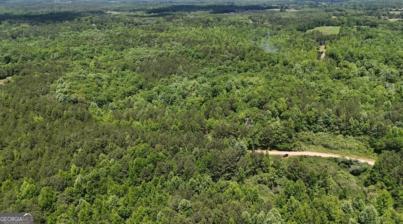 0 Creek Road, Unit LOT 8 Ashland, AL 36251 - Photo 11 of 25