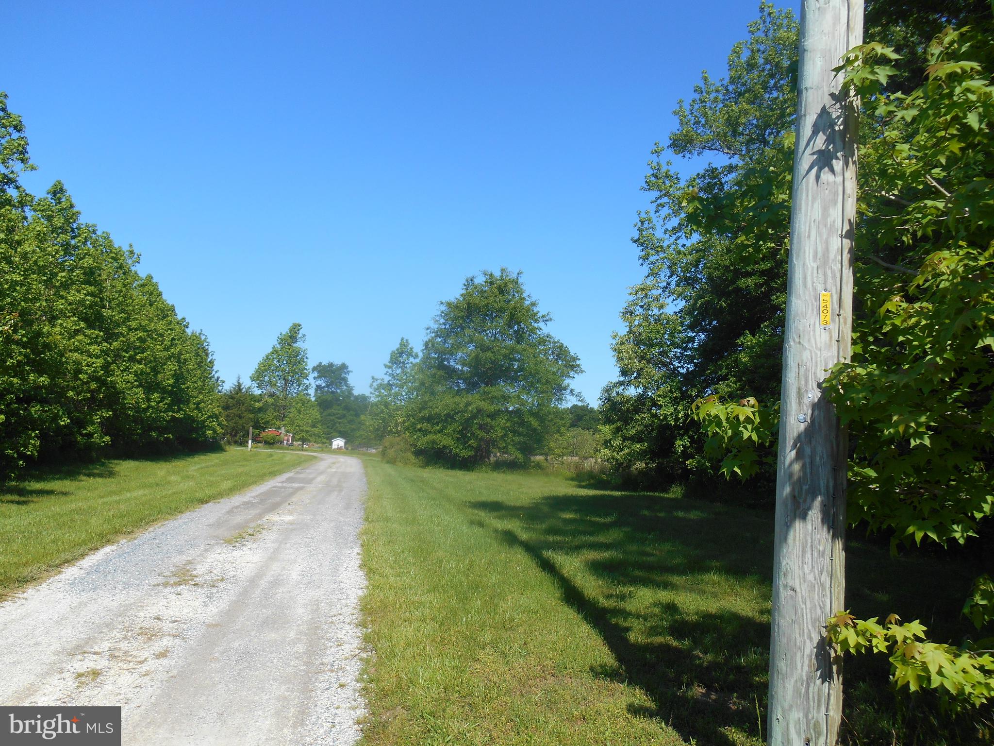 867 Sugar Stick Road Harrington, DE 19952 - Photo 2 of 41 Long Driveway