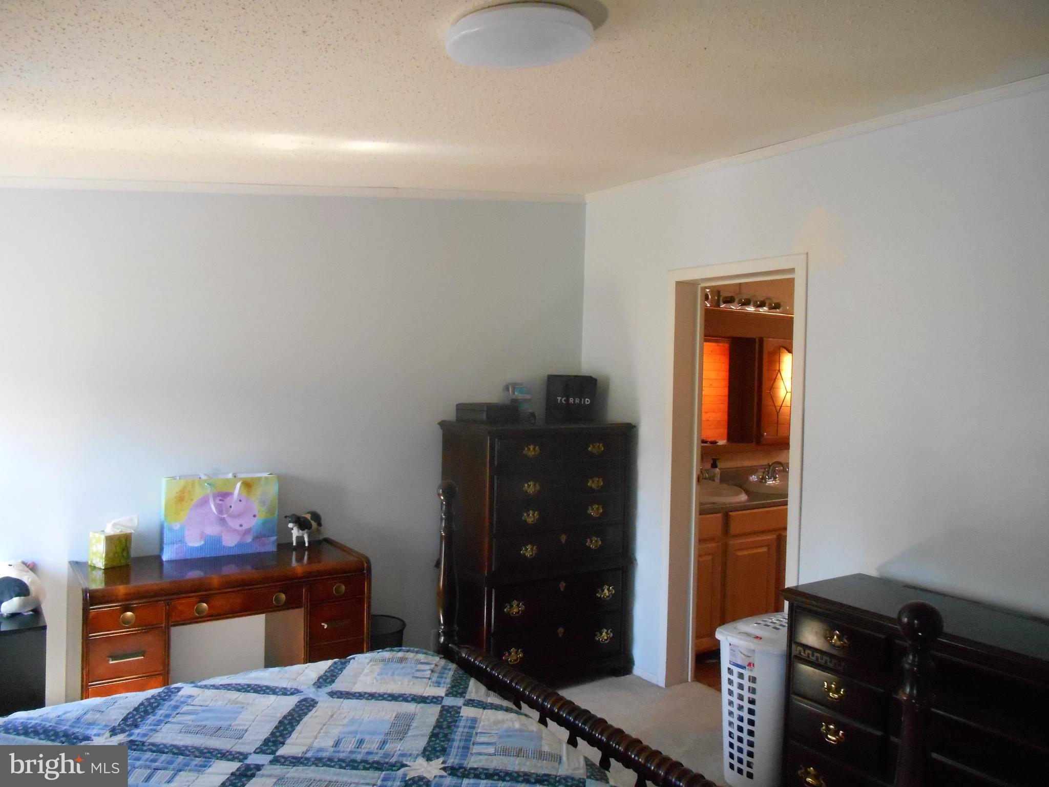 867 Sugar Stick Road Harrington, DE 19952 - Photo 19 of 41 Master