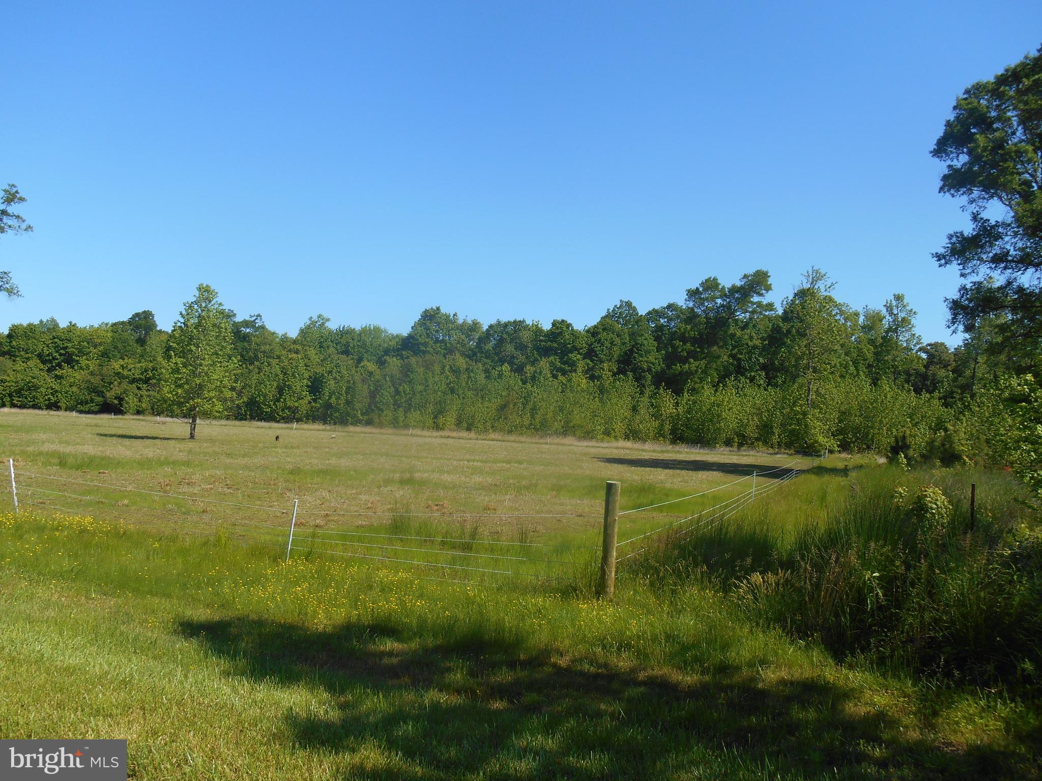 867 Sugar Stick Road Harrington, DE 19952 - Photo 3 of 41 Fields