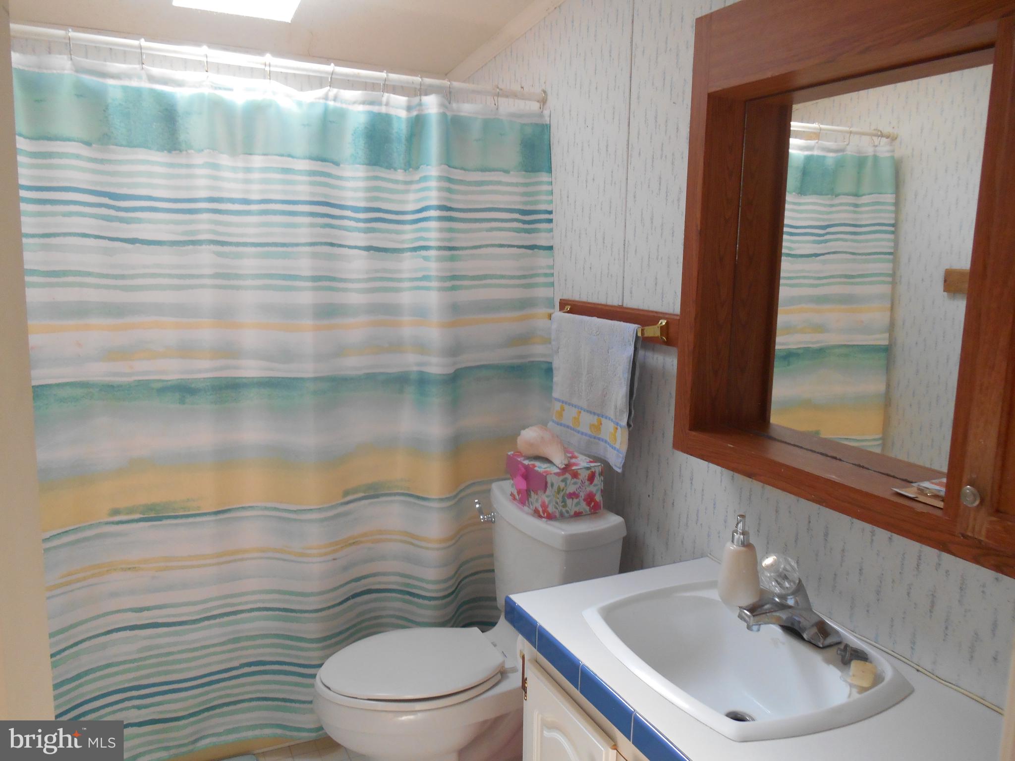 867 Sugar Stick Road Harrington, DE 19952 - Photo 22 of 41 Hall bath
