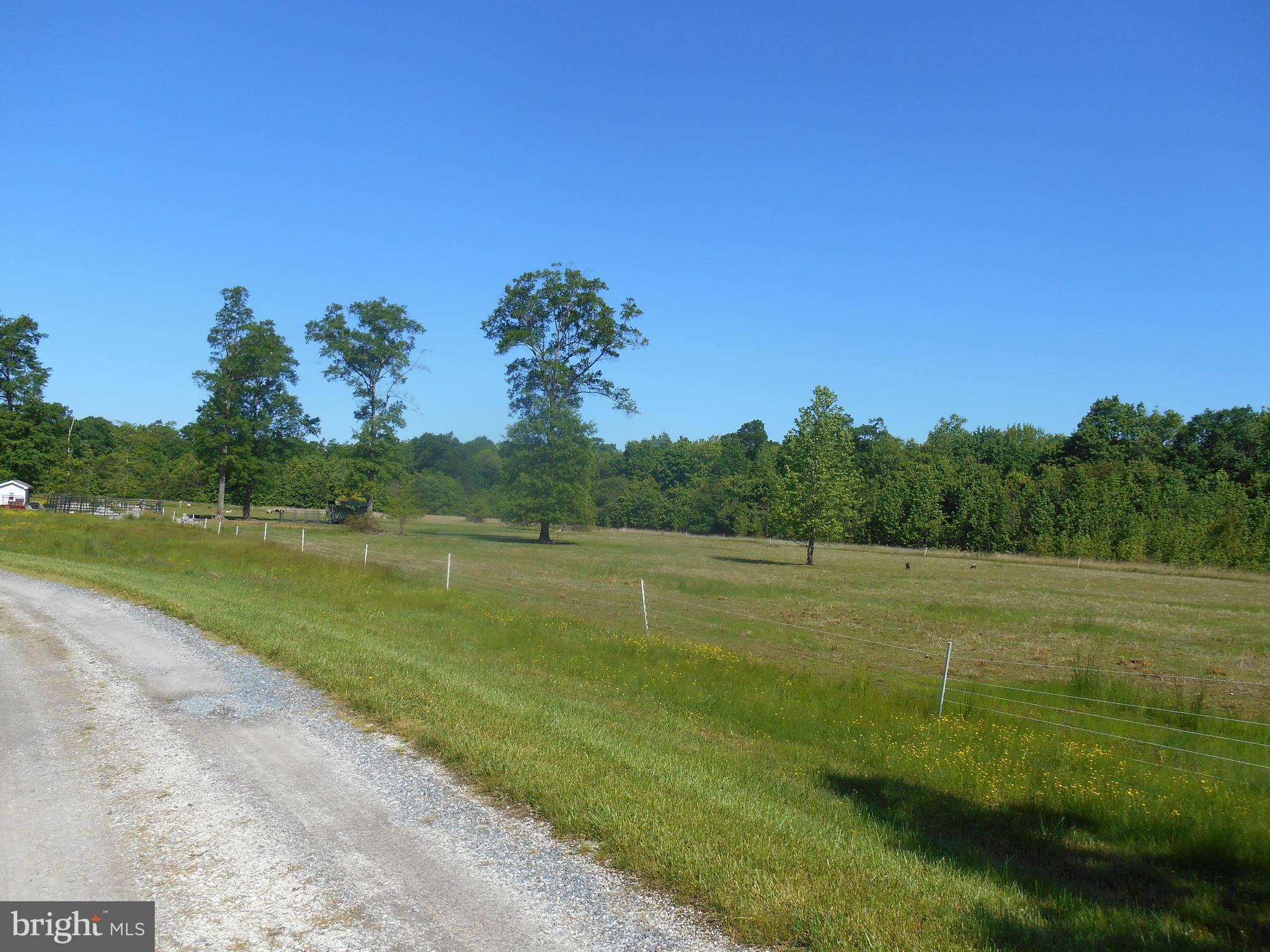 867 Sugar Stick Road Harrington, DE 19952 - Photo 4 of 41 View from driveway