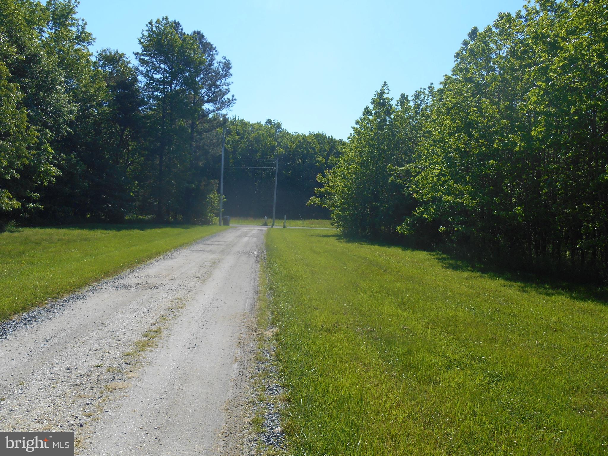 867 Sugar Stick Road Harrington, DE 19952 - Photo 5 of 41 Driveway view