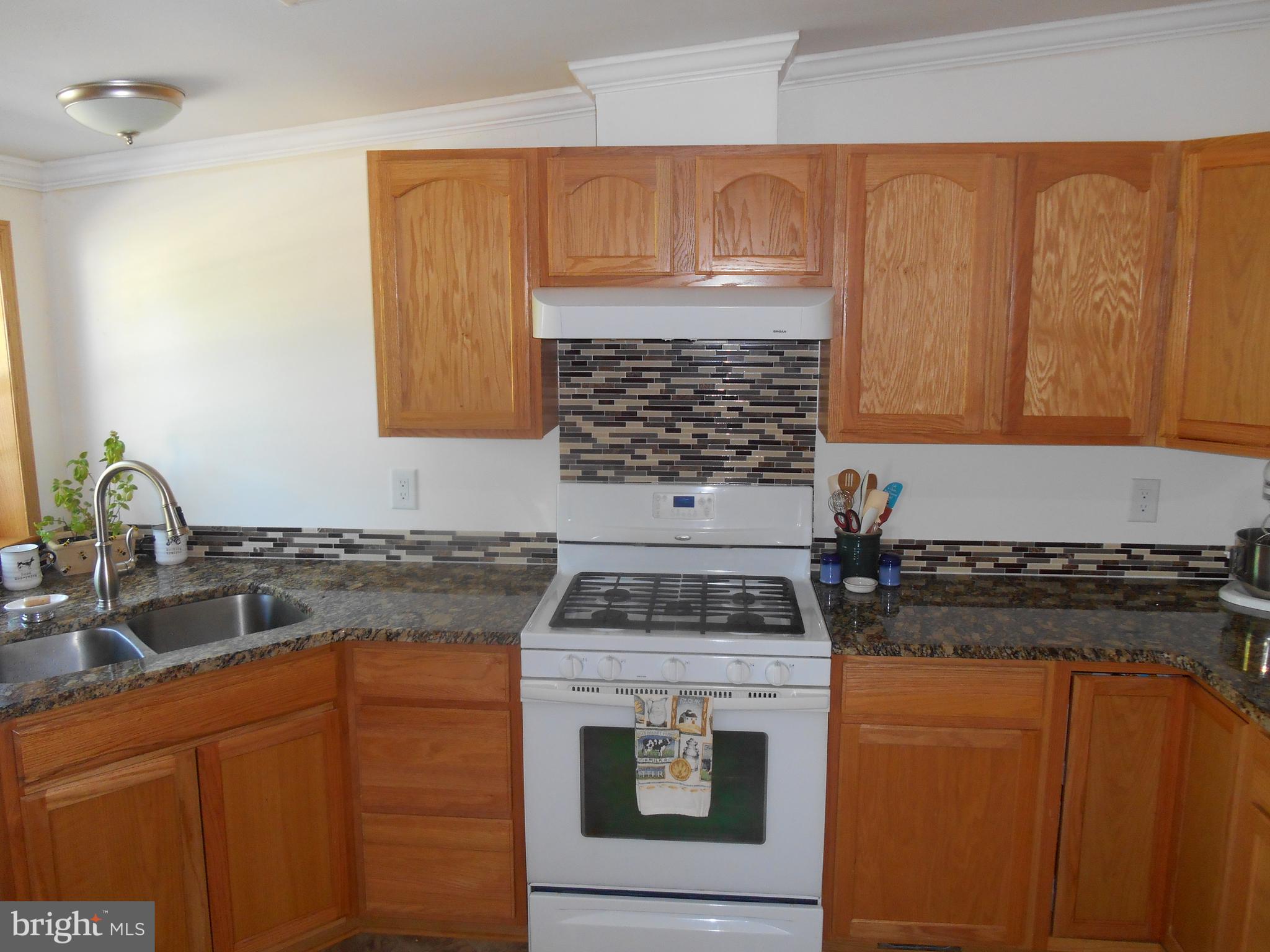 867 Sugar Stick Road Harrington, DE 19952 - Photo 7 of 41 Kitchen