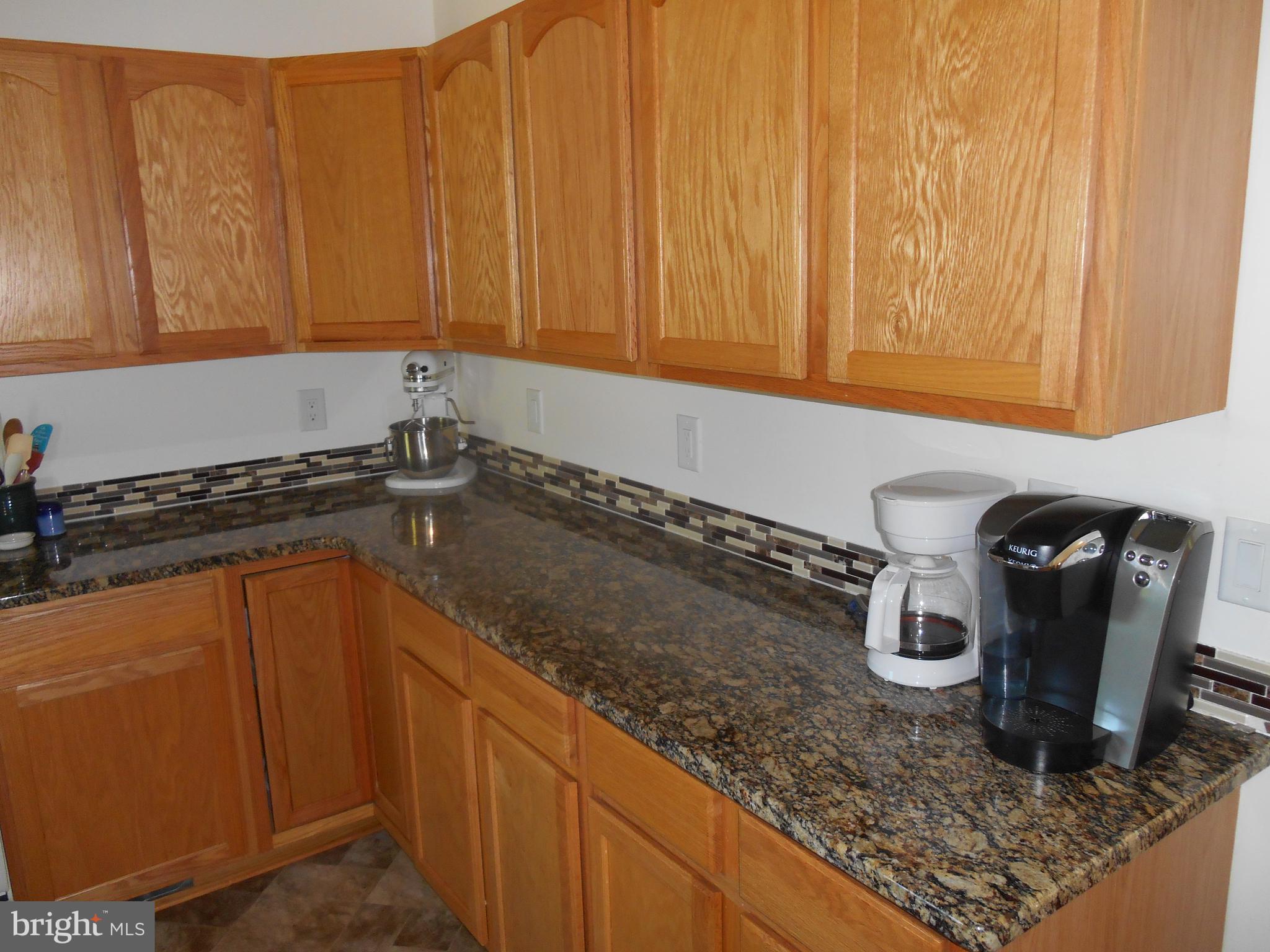 867 Sugar Stick Road Harrington, DE 19952 - Photo 8 of 41 Counter tops and cabinets