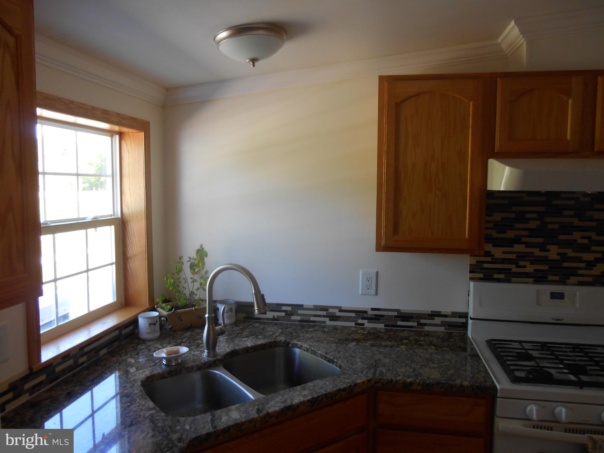 867 Sugar Stick Road Harrington, DE 19952 - Photo 10 of 41 Double deep sink