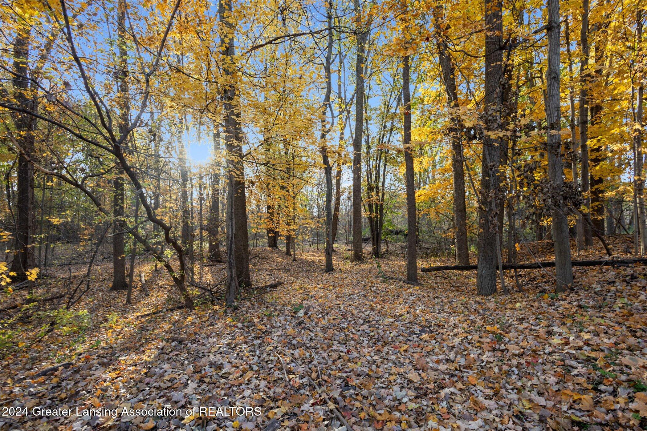 0 Williamsburg Road Lansing, MI 48917 - Photo 9 of 34 07-0-Williamsburg-Rd-Lansing-MI-48917-Wi