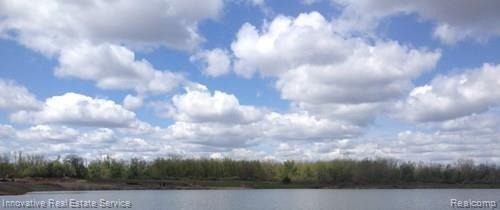 Parcel D North Lake George Road Attica, MI 48412 - Photo 8 of 14 pan1.jpg