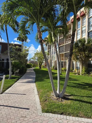 a view of a park with large trees