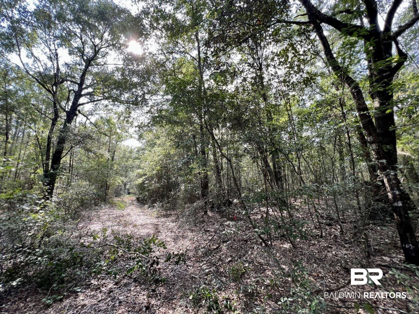 0 Bear Fork Road Mobile, AL 36618 - Photo 21 of 50