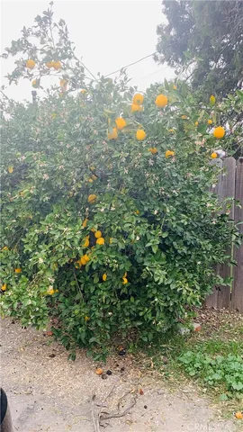 a view of outdoor space and a yard