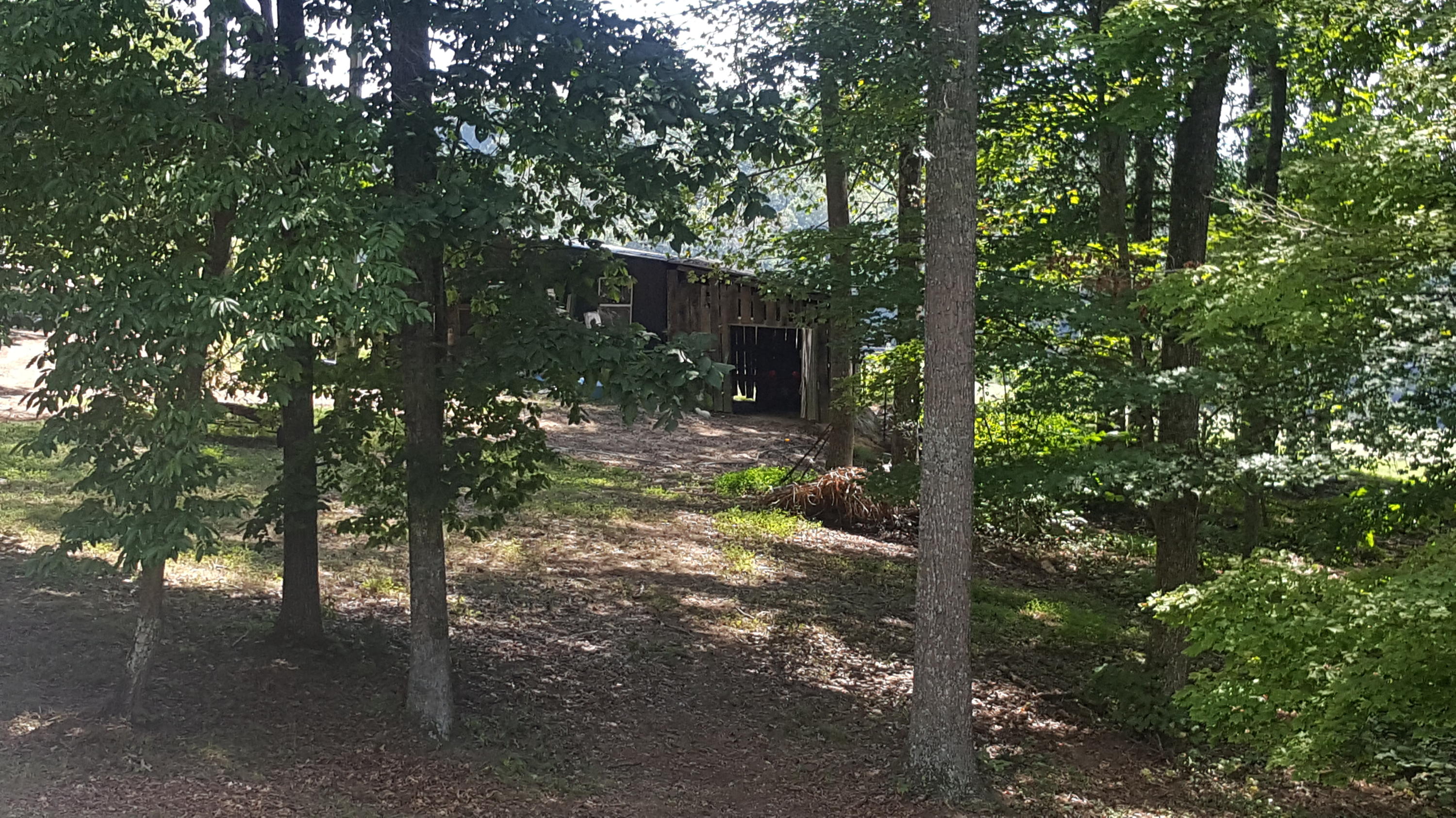 806 Cole Road New Tazewell, TN 37825 - Photo 8 of 19 20160831_123722