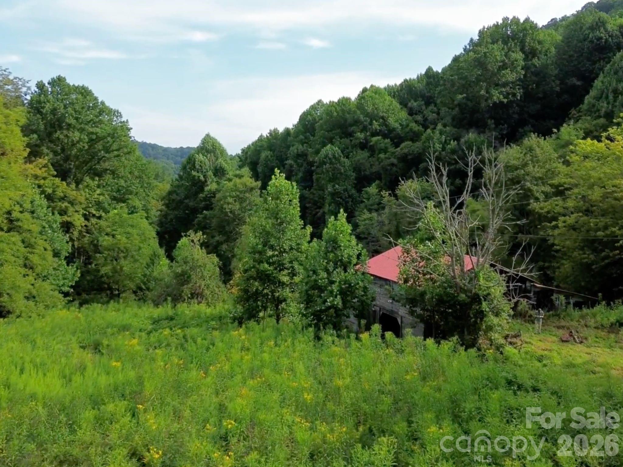 1545 East Fork Road Marshall, NC 28753 - Photo 26 of 31 Gallery Image 26