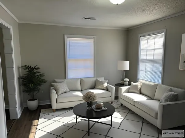 a living room with furniture and a potted plant