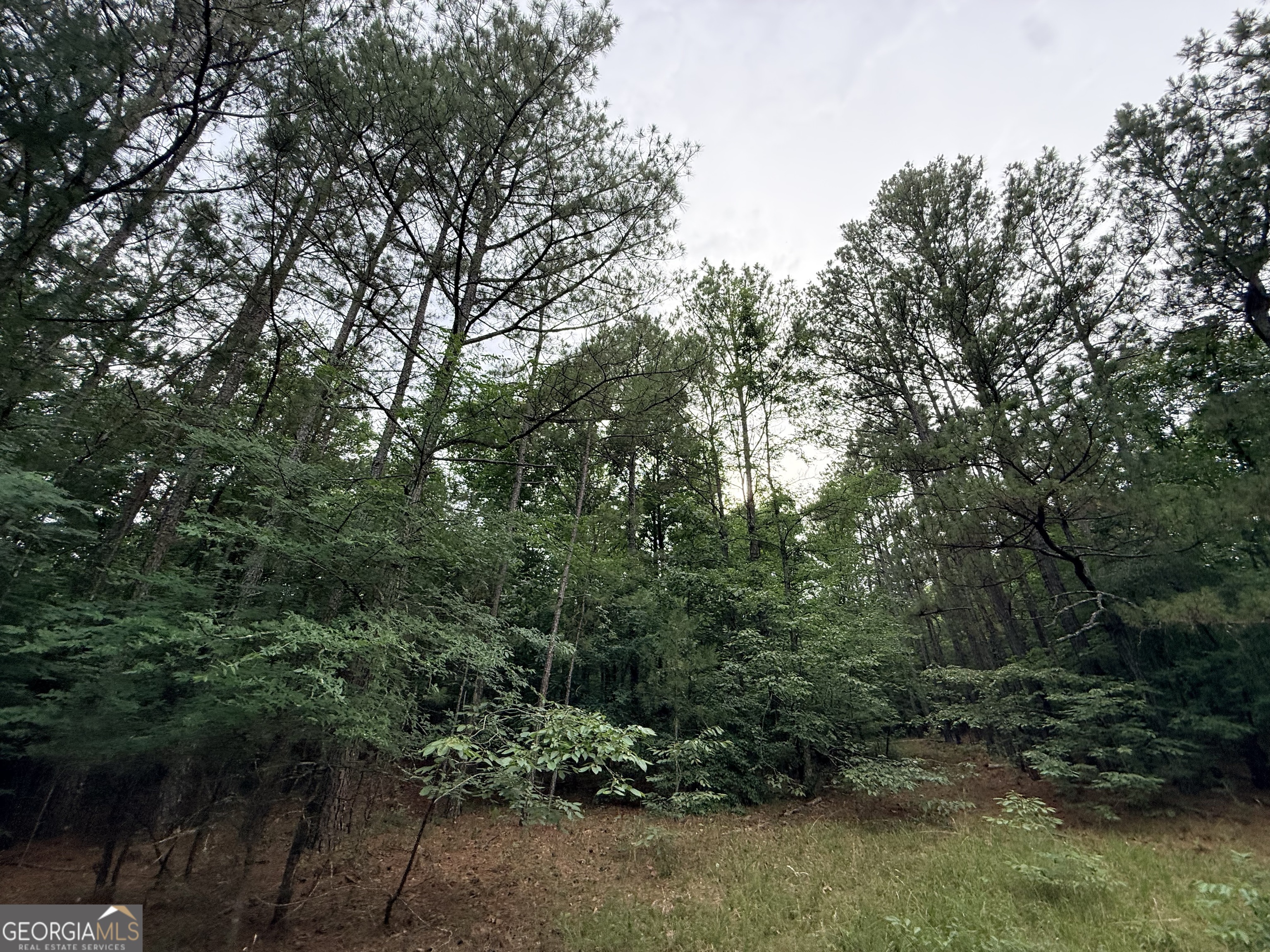2 Bethesda Church Road Lexington, GA 30648 - Photo 21 of 66