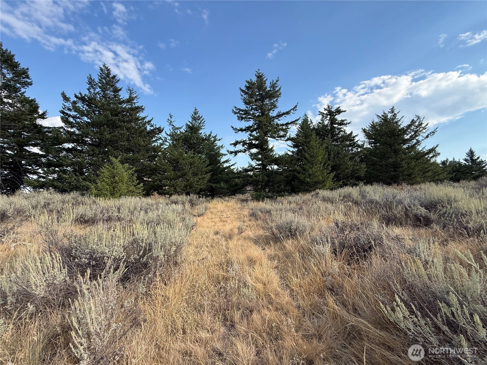 111 Off Log Camp Road Loomis, WA 98827 - Photo 2 of 11 Gallery Image 2