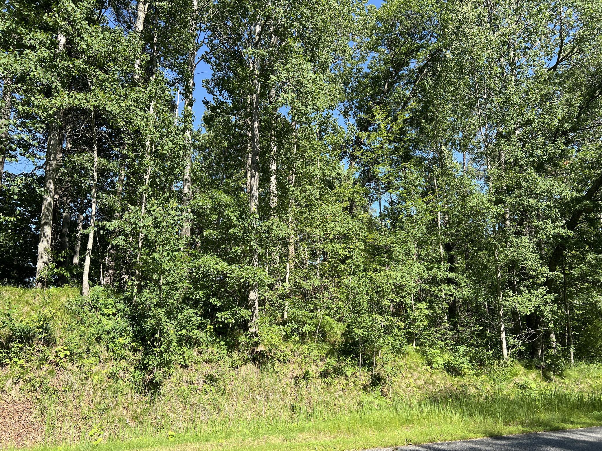 Lot 8 Terminal Road Breezy Point, MN 56472 - Photo 4 of 14