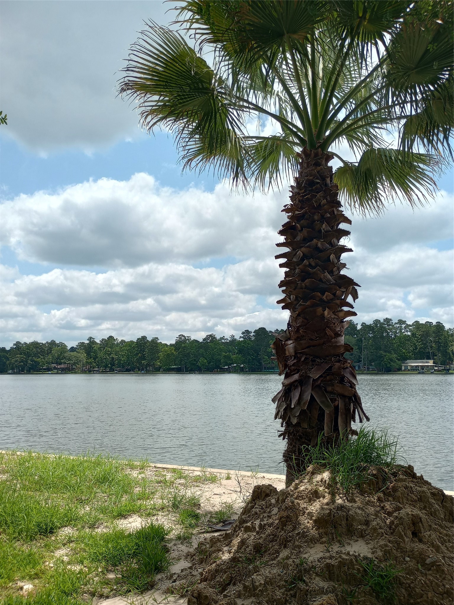 13545 Northshore Loop Conroe, TX 77304 - Photo 9 of 44 Gorgeous Lakeview's.