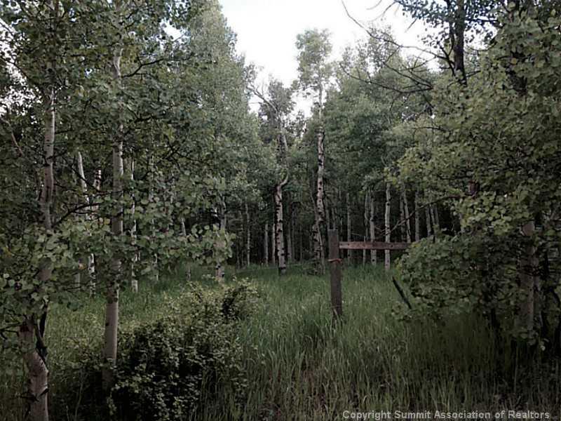 56 Beaver Ridge Road Fairplay, CO 80440 - Photo 11 of 21 Gallery Image 11
