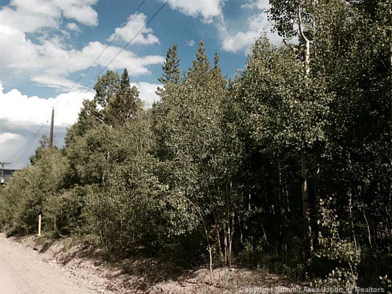 56 Beaver Ridge Road Fairplay, CO 80440 - Photo 14 of 21 Gallery Image 14
