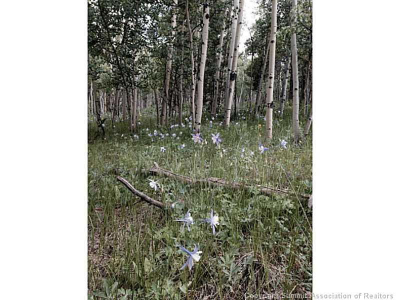 56 Beaver Ridge Road Fairplay, CO 80440 - Photo 15 of 21 Gallery Image 15