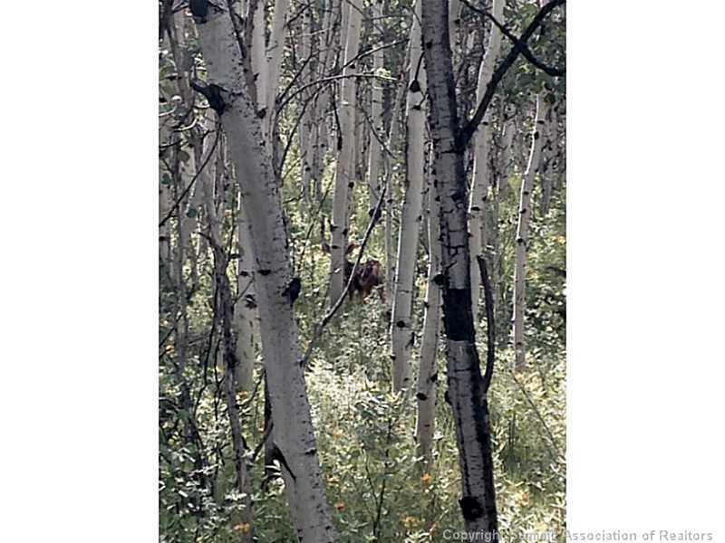 56 Beaver Ridge Road Fairplay, CO 80440 - Photo 18 of 21 Gallery Image 18