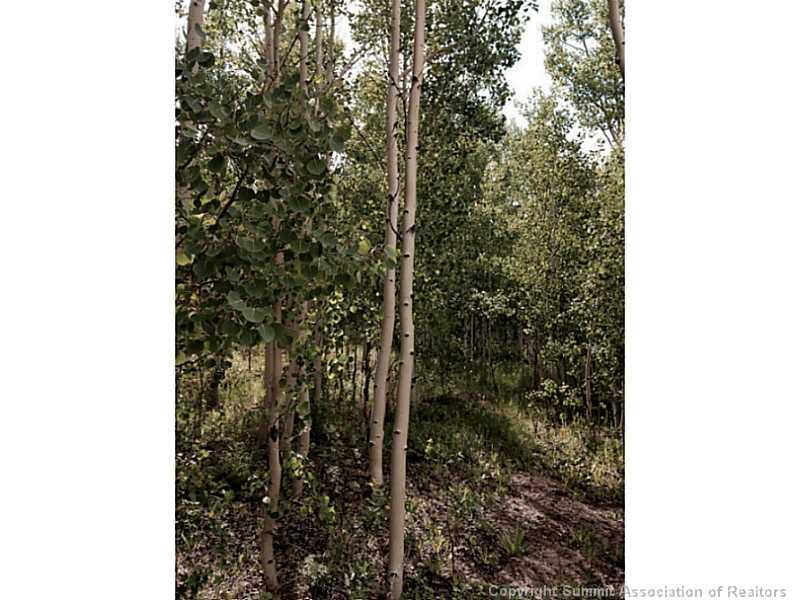56 Beaver Ridge Road Fairplay, CO 80440 - Photo 21 of 21 Gallery Image 21