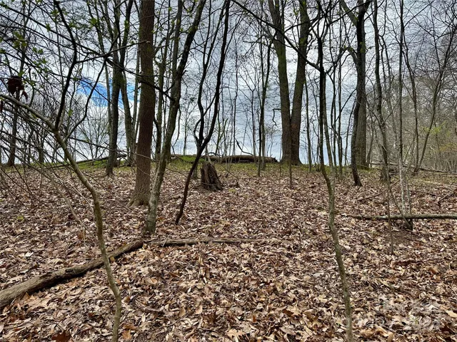 a view of a backyard of the house