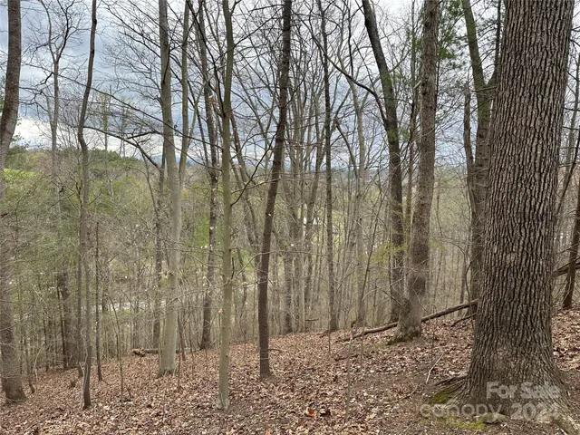 a view of a yard with trees