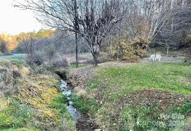 a big yard with lots of green space and plants