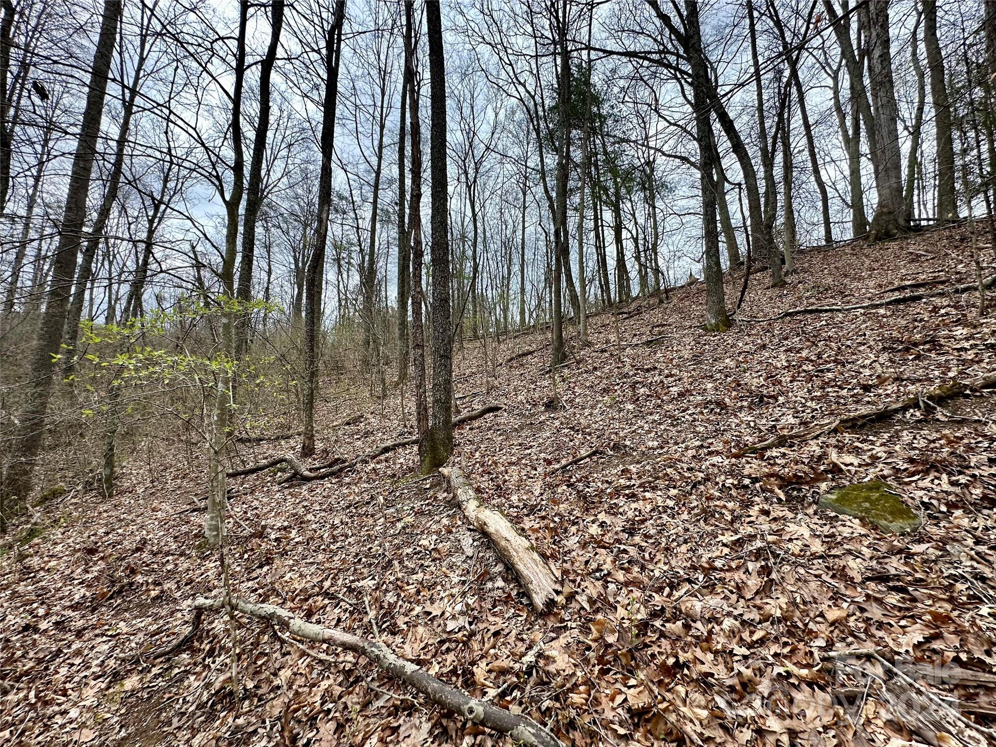 0 Fletcher Martin Road, Unit 2 & 3 Alexander, NC 28701 - Photo 21 of 35 a backyard of a house with lots of green space