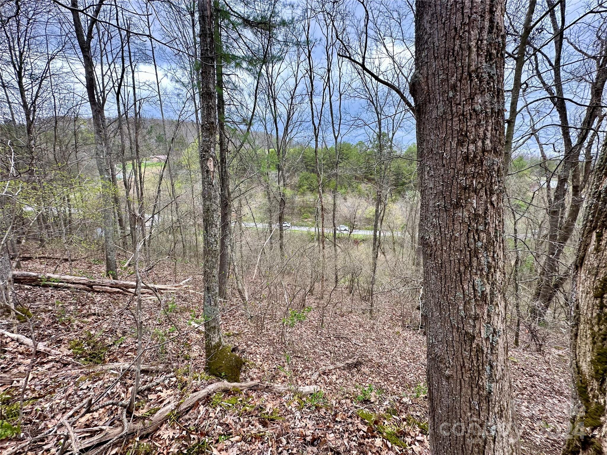 0 Fletcher Martin Road, Unit 2 & 3 Alexander, NC 28701 - Photo 23 of 35 a backyard of a house with lots of green space