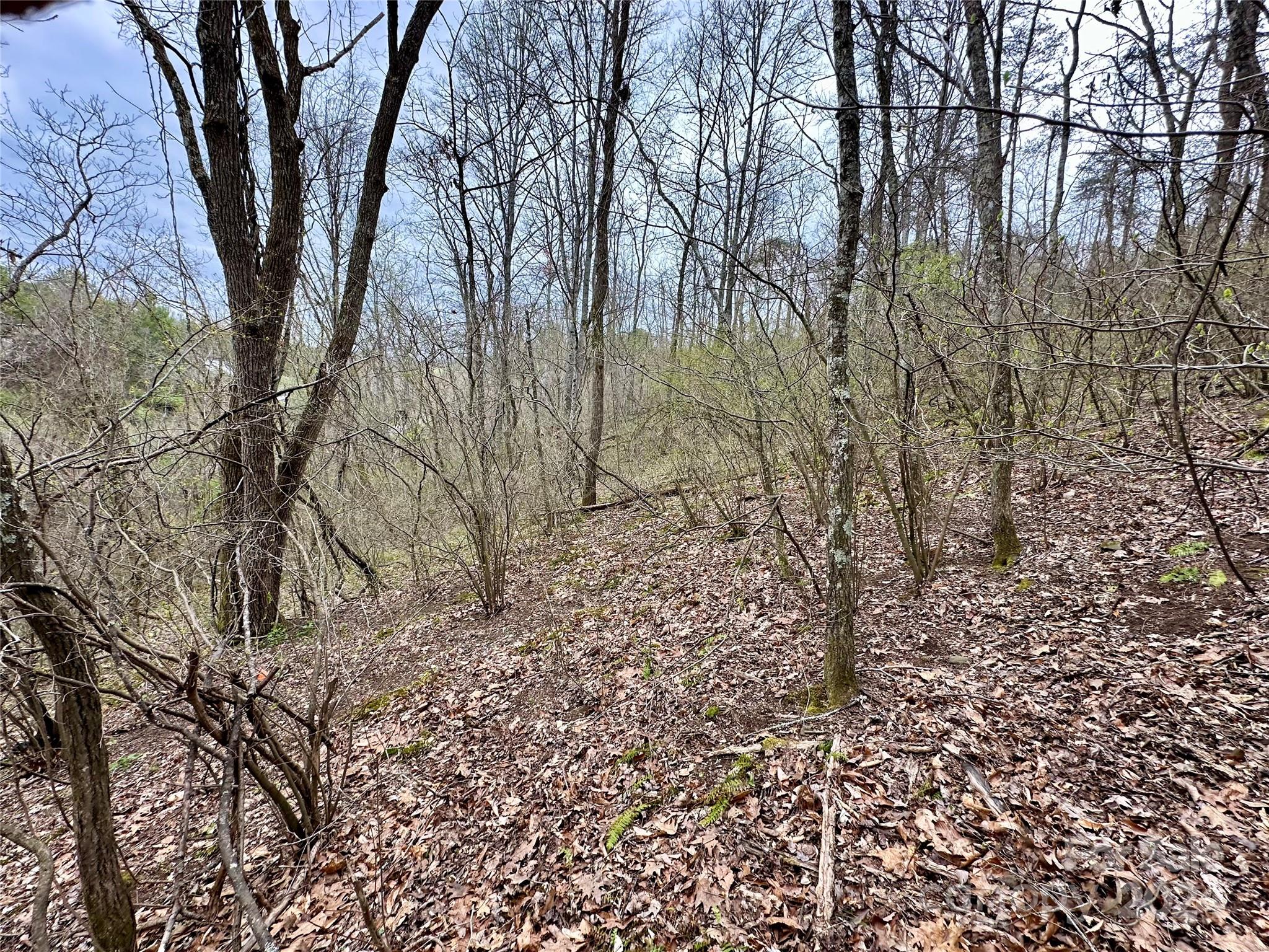 0 Fletcher Martin Road, Unit 2 & 3 Alexander, NC 28701 - Photo 26 of 35 a view of a yard