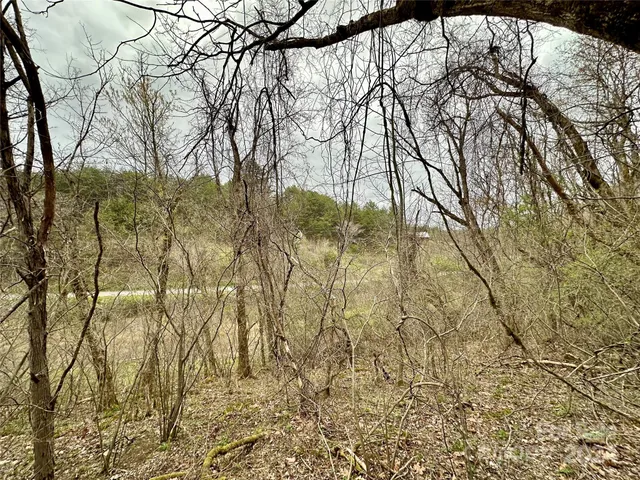 a view of lake with a yard