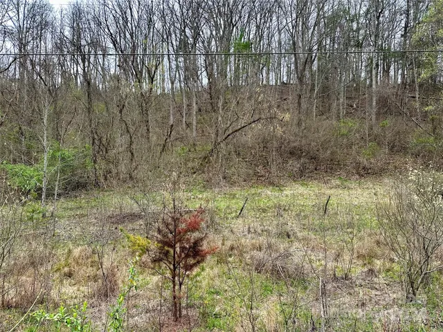 $290,000 | 0 Fletcher Martin Road, Unit 2 & 3, Alexander, NC 28701