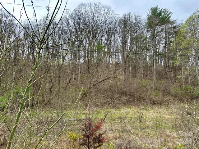 $290,000 | 0 Fletcher Martin Road, Unit 2 & 3, Alexander, NC 28701