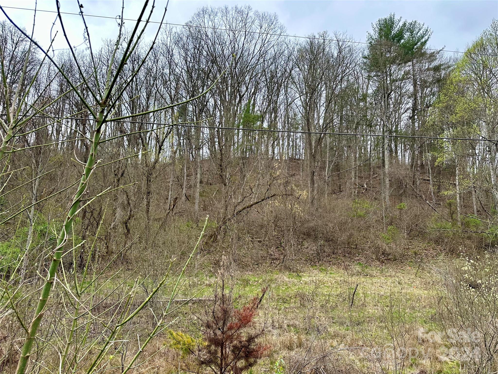 0 Fletcher Martin Road, Unit 2 & 3 Alexander, NC 28701 - Photo 35 of 35