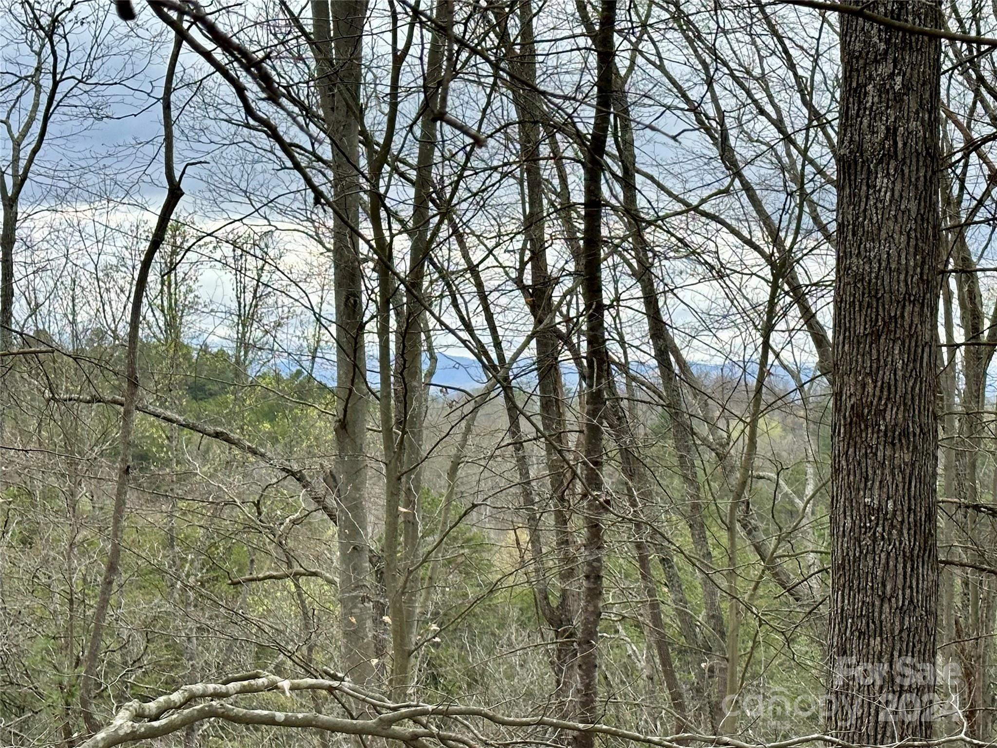 0 Fletcher Martin Road, Unit 2 & 3 Alexander, NC 28701 - Photo 4 of 35 an outdoor space with lots of trees