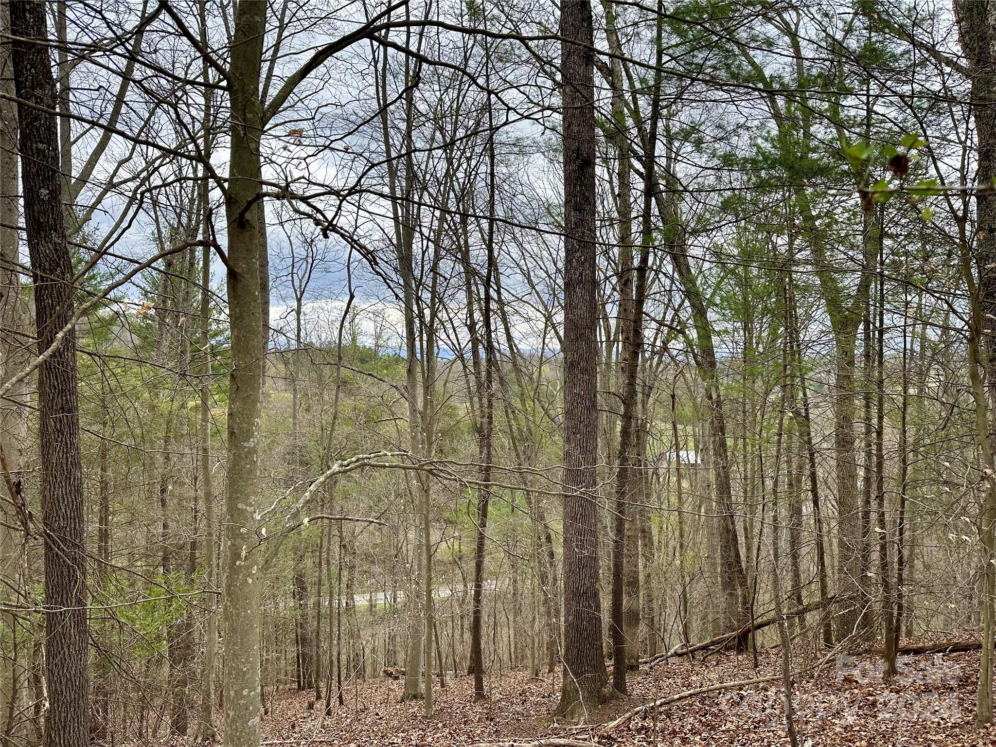 0 Fletcher Martin Road, Unit 2 & 3 Alexander, NC 28701 - Photo 5 of 35 a view of a forest