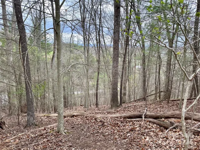 a view of a backyard of the house