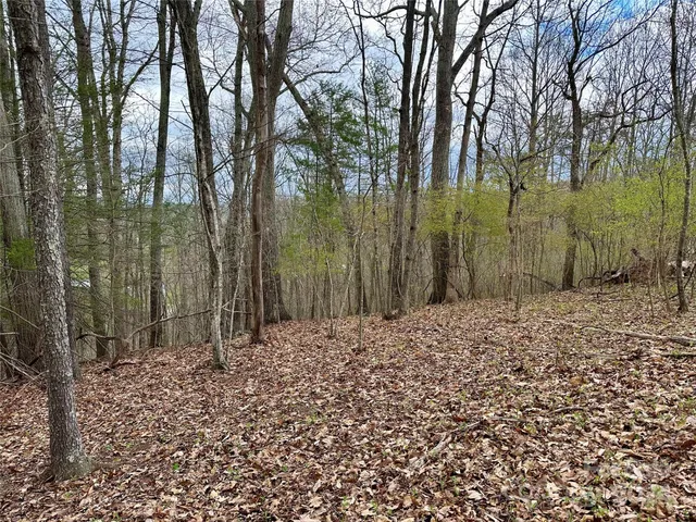 a view of a backyard of the house