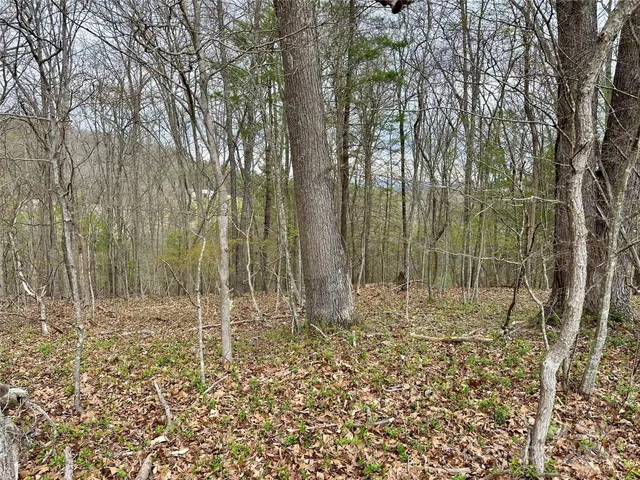 a view of outdoor space with green space