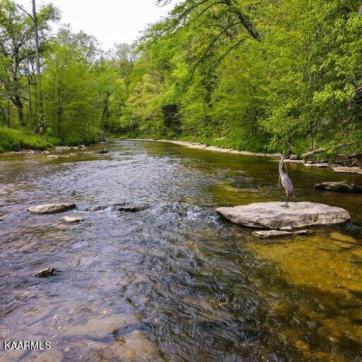 Blackburn Fork Road Cookeville, TN 38501 - Photo 12 of 29 218831_13