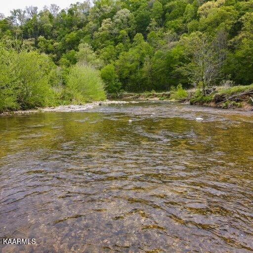 Blackburn Fork Road Cookeville, TN 38501 - Photo 13 of 29 218831_14